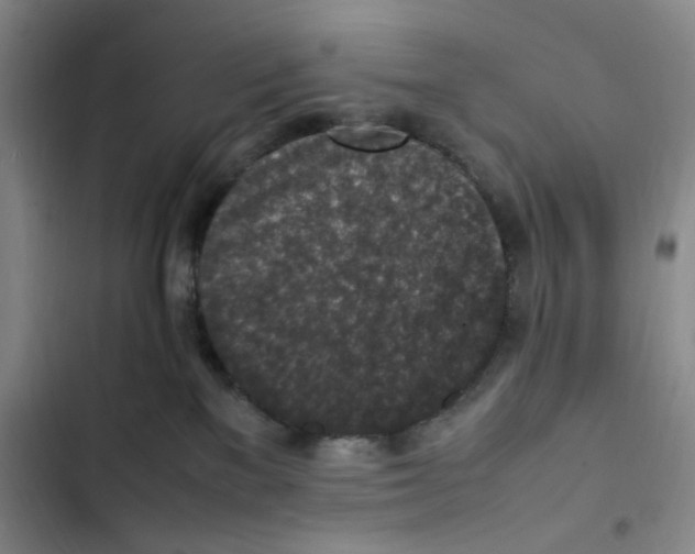 X0000102860137200809151220