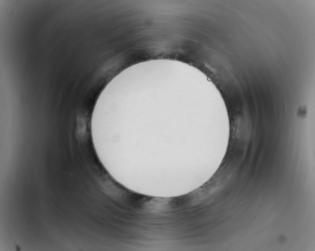X0000102860138200809151220