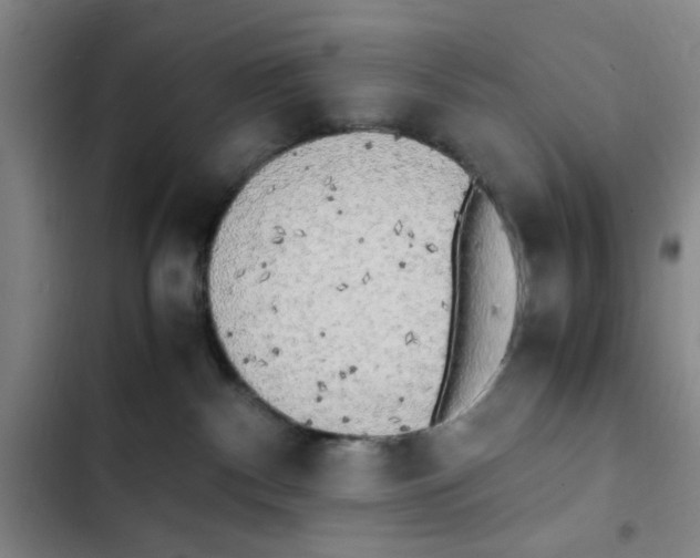X0000102860140200809151220
