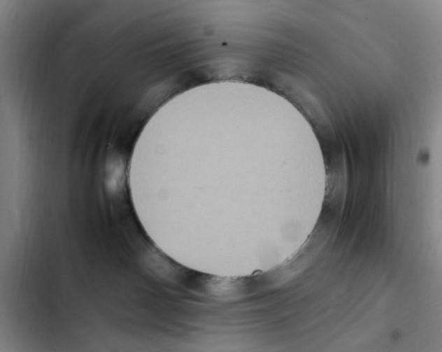 X0000102860142200809151220