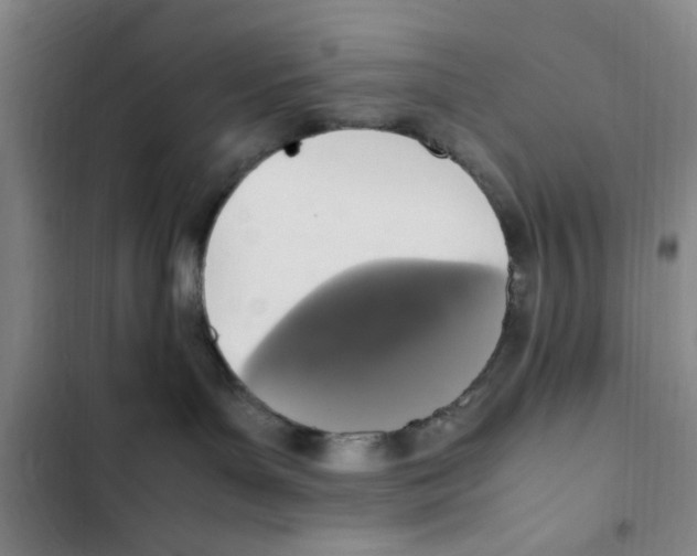 X0000102860143200809151220