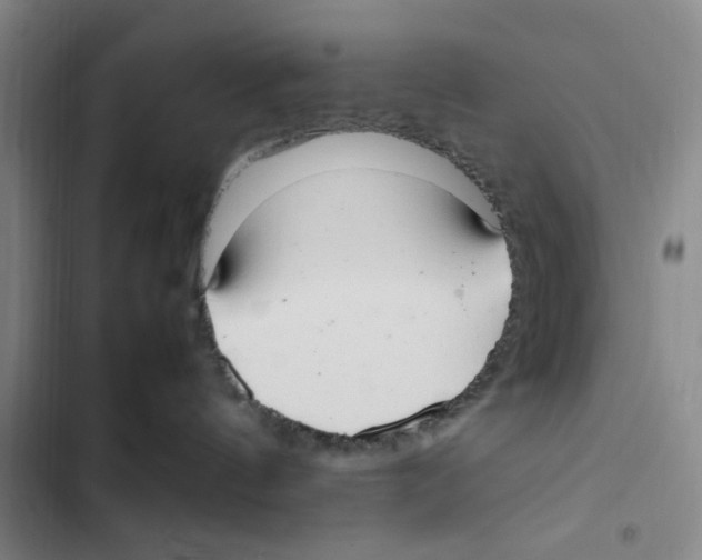 X0000102860144200809151220