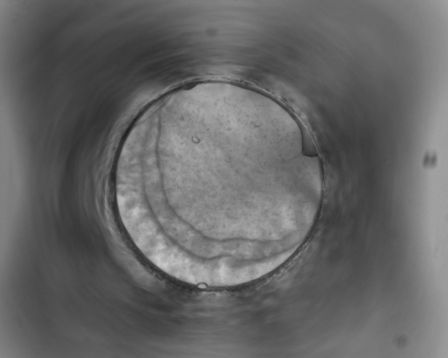 X0000102860145200809151219