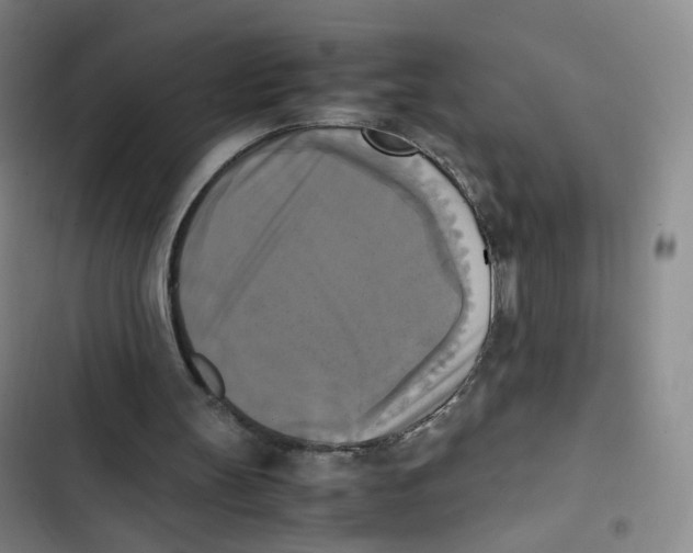 X0000102860147200809151219
