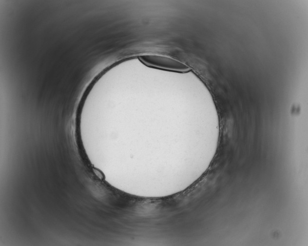 X0000102860148200809151219