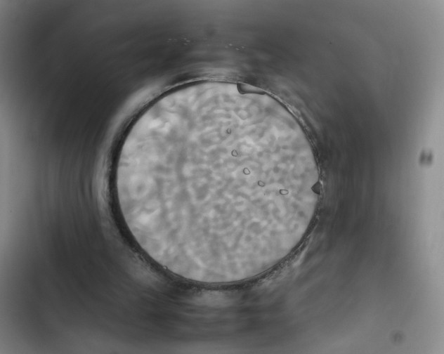 X0000102860149200809151219