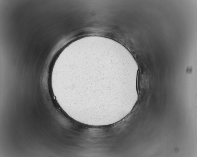 X0000102860150200809151219