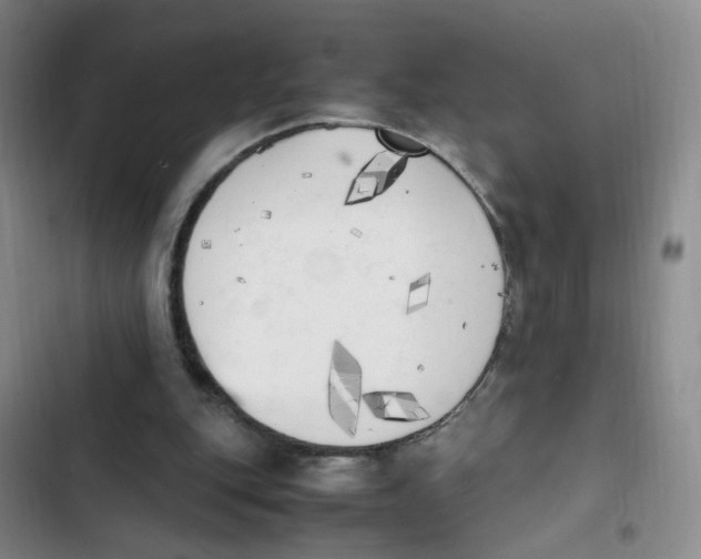 X0000102860151200809151219