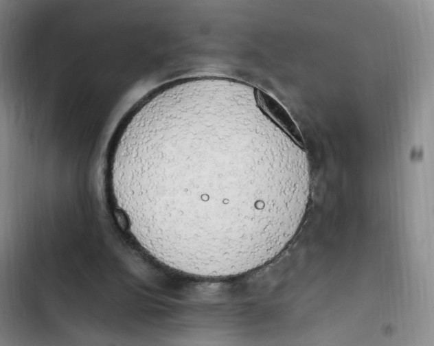 X0000102860152200809151219