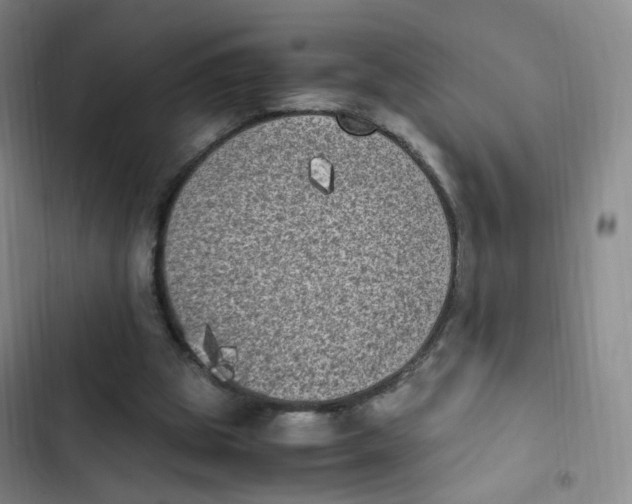 X0000102860153200809151219