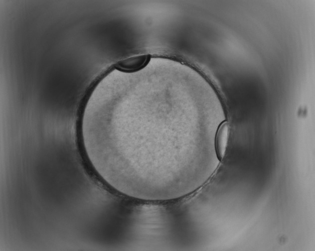 X0000102860154200809151219