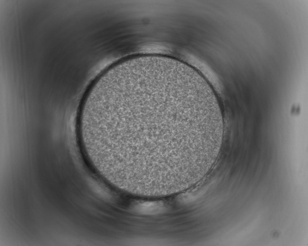 X0000102860155200809151219