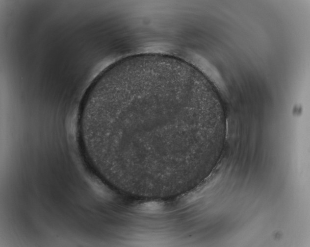 X0000102860156200809151219
