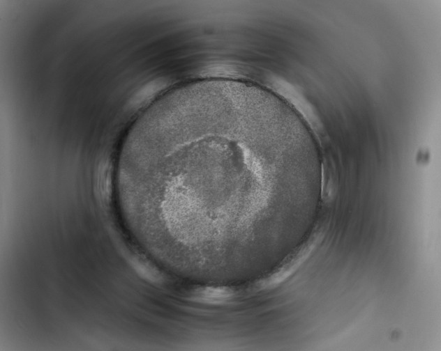 X0000102860157200809151219