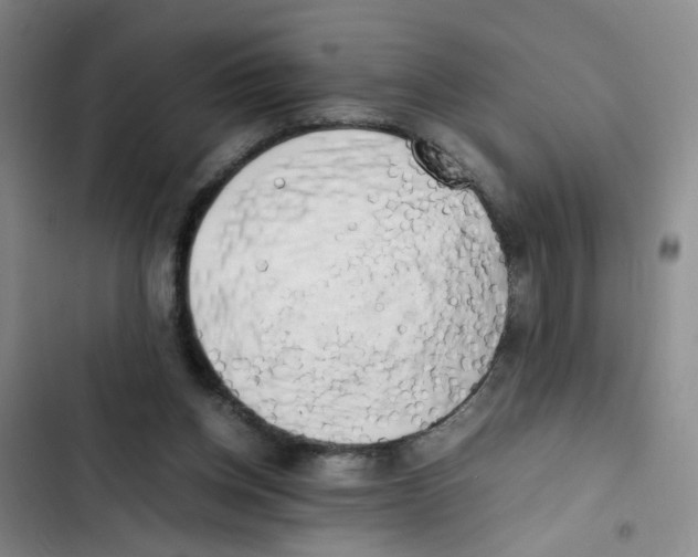 X0000102860158200809151219