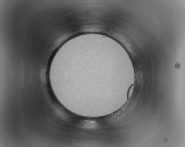 X0000102860159200809151219
