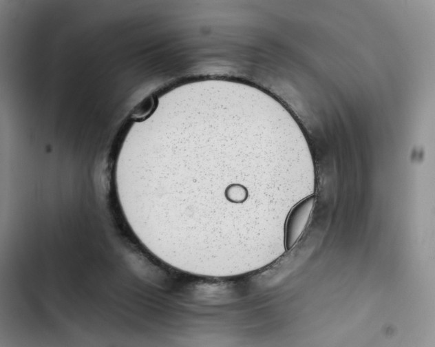 X0000102860160200809151219