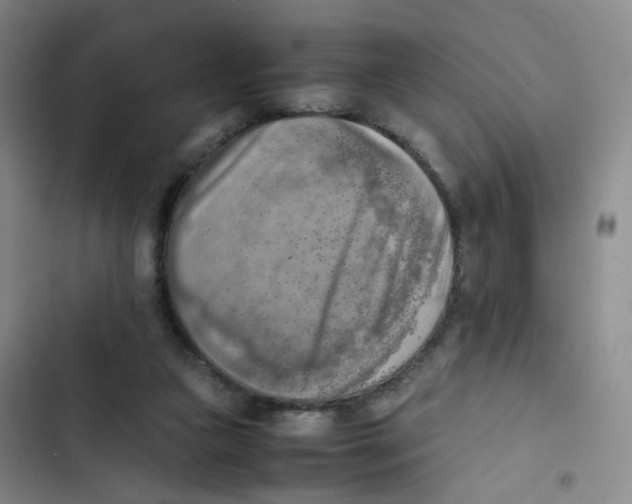 X0000102860161200809151219