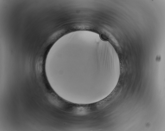 X0000102860163200809151220