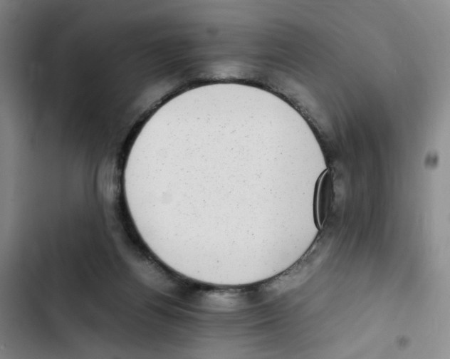 X0000102860164200809151220