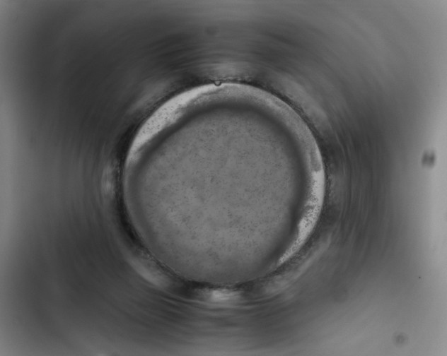 X0000102860165200809151220