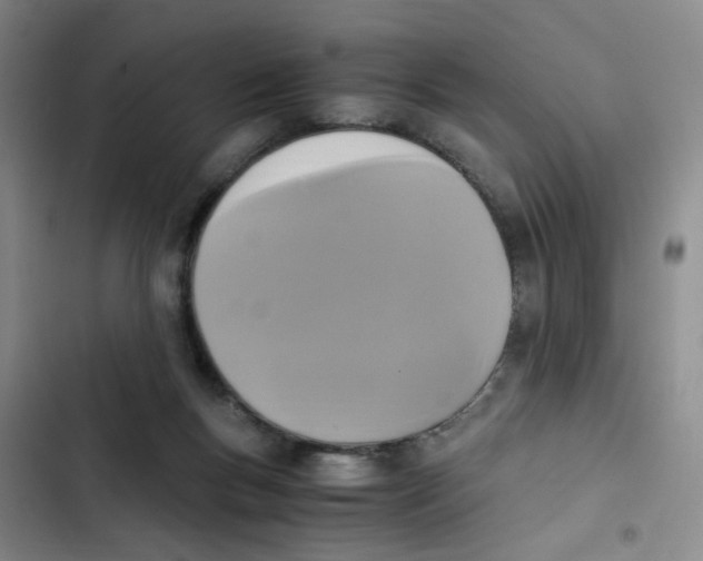 X0000102860167200809151220