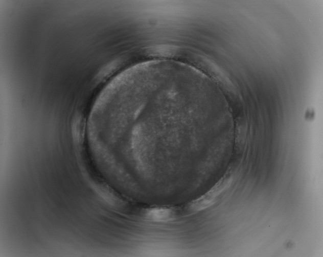 X0000102860168200809151220