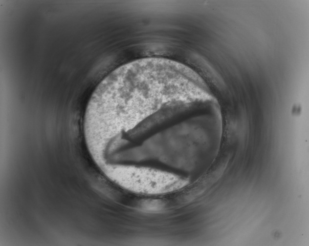X0000102860169200809151220