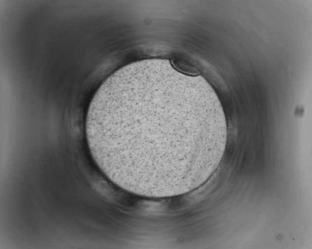 X0000102860170200809151220