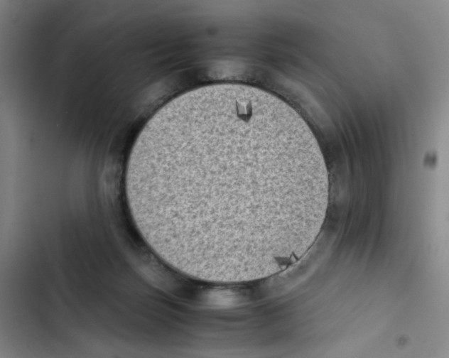 X0000102860171200809151220