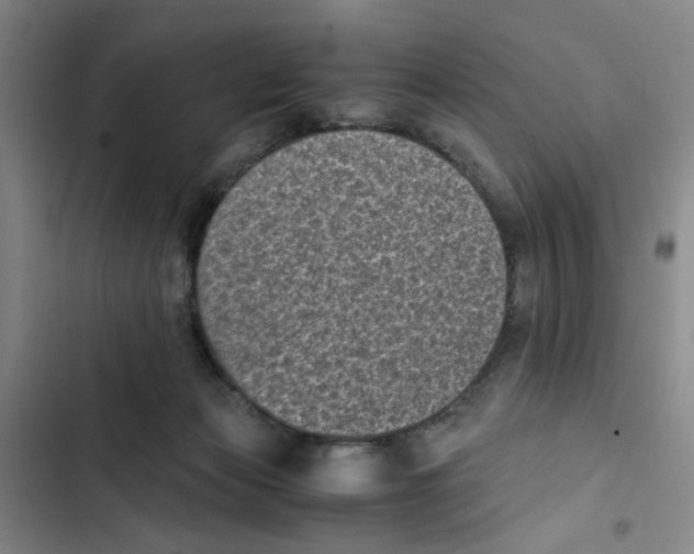 X0000102860173200809151220