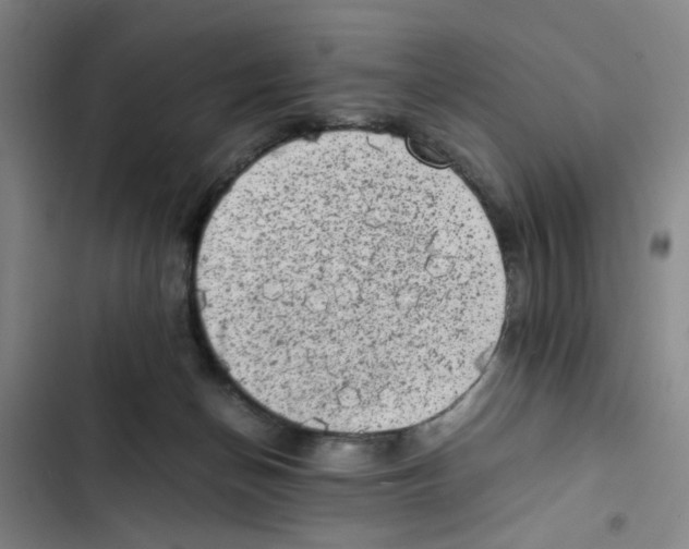 X0000102860174200809151220