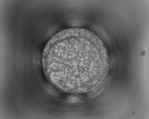 X0000102860175200809151220
