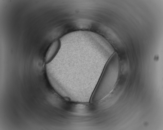 X0000102860176200809151220
