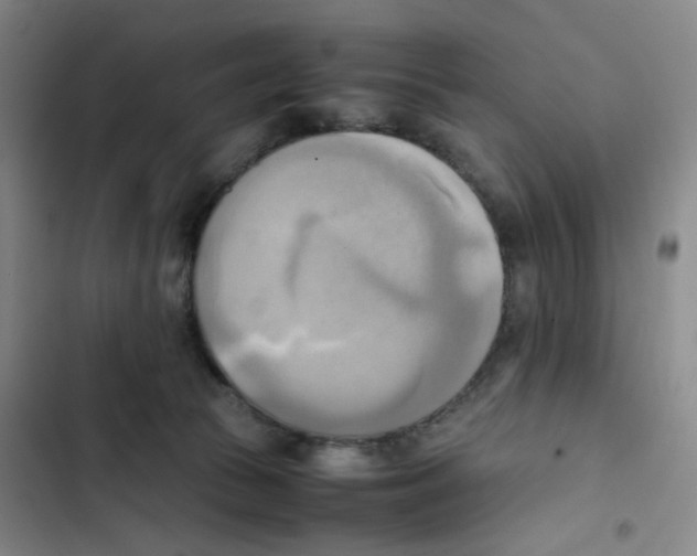 X0000102860177200809151220