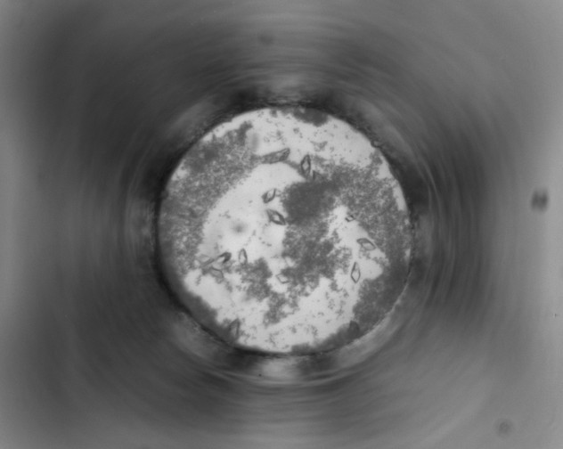 X0000102860178200809151220