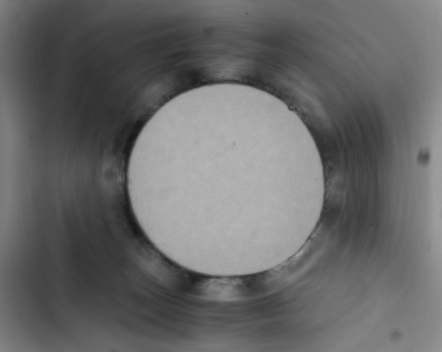 X0000102860179200809151220