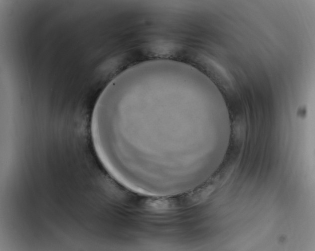 X0000102860181200809151220