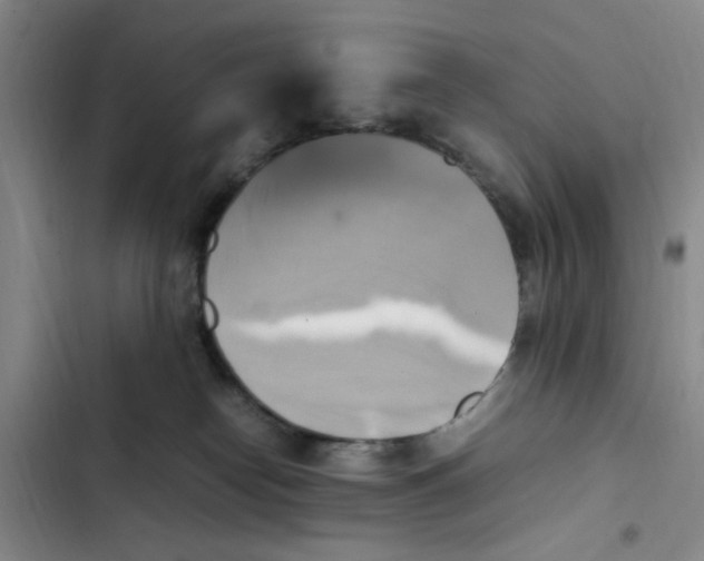 X0000102860182200809151220