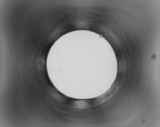 X0000102860183200809151220