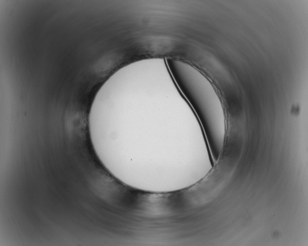X0000102860184200809151220