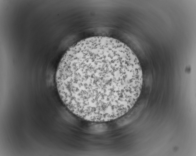 X0000102860185200809151220