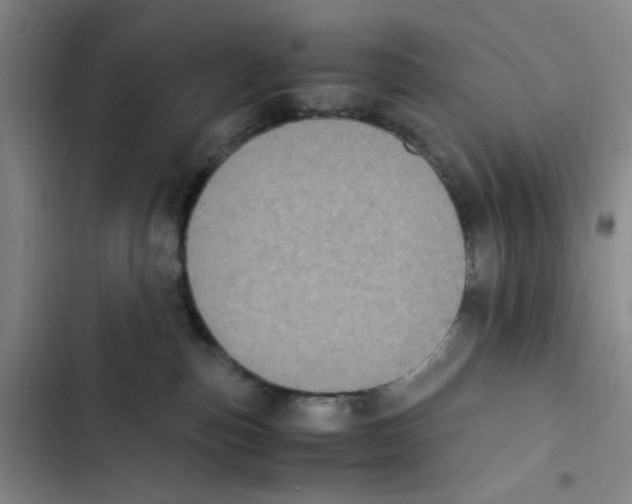 X0000102860187200809151220