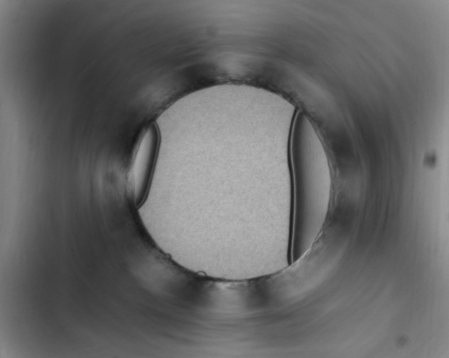 X0000102860188200809151220