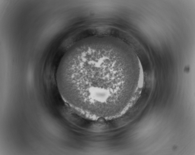X0000102860189200809151220