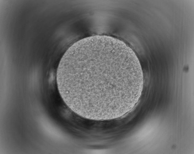 X0000102860191200809151220
