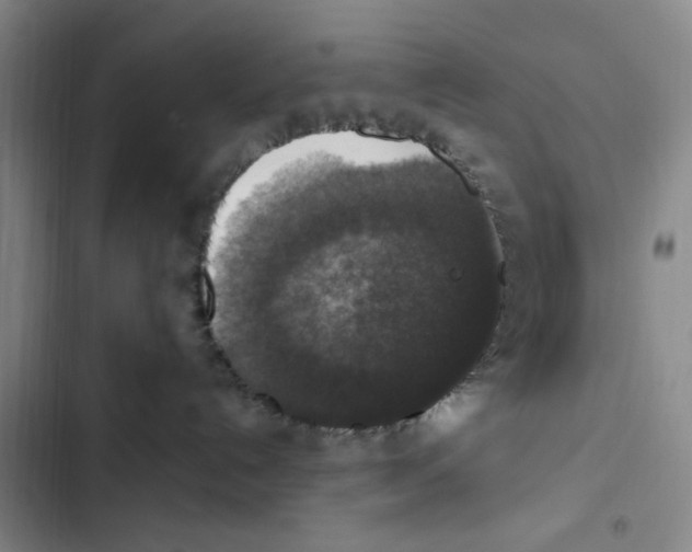 X0000102860192200809151220