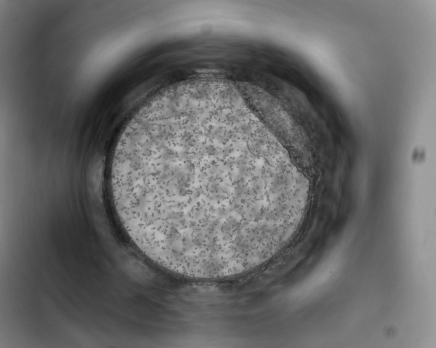 X0000102860194200809151219