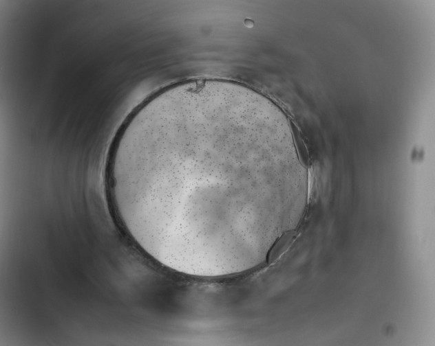 X0000102860195200809151219