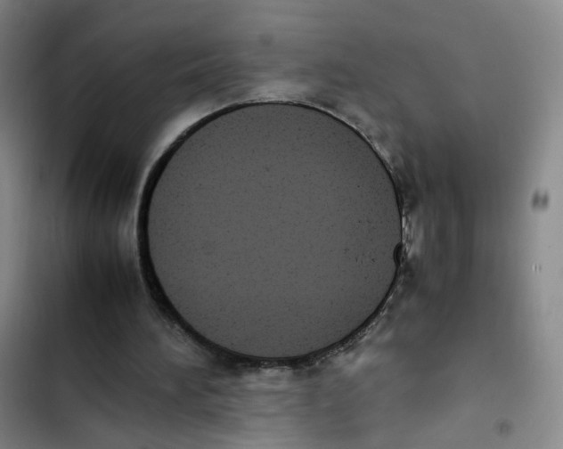 X0000102860196200809151219